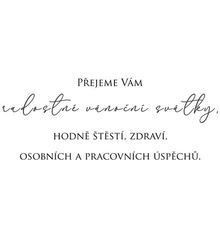 Novoročenka BEZ POTISKU C234 - PF 2026