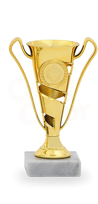 Sportovní pohár s možností emblému (23012)